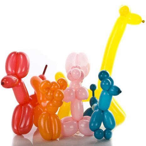 Chicago balloon twister sculptures add color to any birthday party!